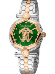Uhren Roberto Cavalli By Franck Muller - RV1L204M - Gelb 1.400,00 € 4894626188510 | Planet-Deluxe