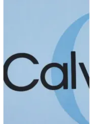 Leichter blauer Calvin Klein Sommerkleid