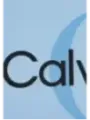 Leichter blauer Calvin Klein Sommerkleid
