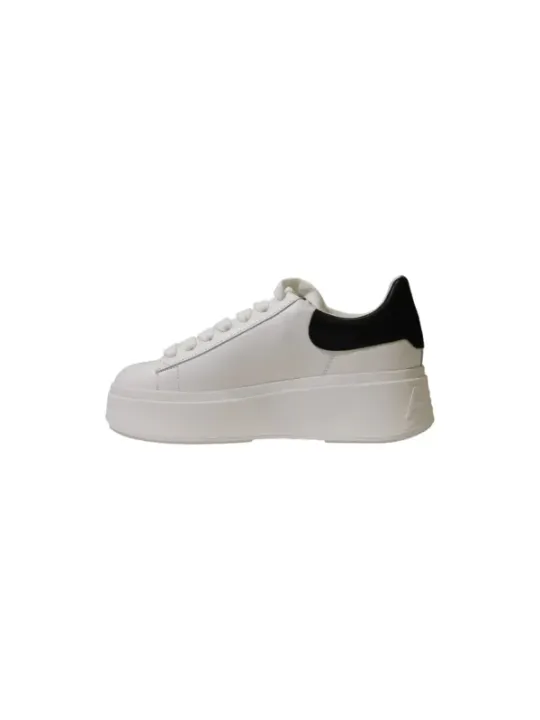 "Ash Sneakers im Sale | Ash - Ash  Sneakers Donna online kaufen"|Planet-Deluxe