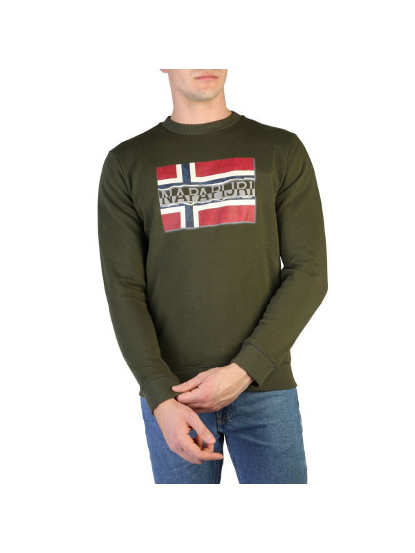 Grünes Napapijri Sweatshirt mit Flaggen-Logo Grünes Napapijri Sweatshirt mit Flaggen-Logo