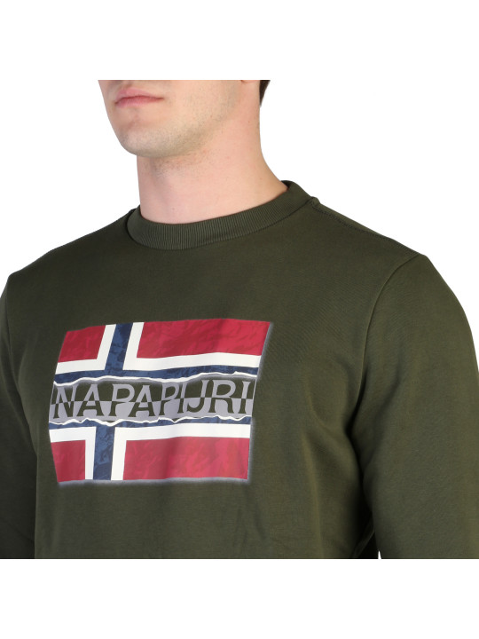 Napapijri Norweger Flag Grün T-Shirt