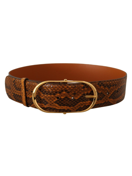 Belts Elegant Python Skin Leather Belt 600,00 € 8057155021734 | Planet-Deluxe