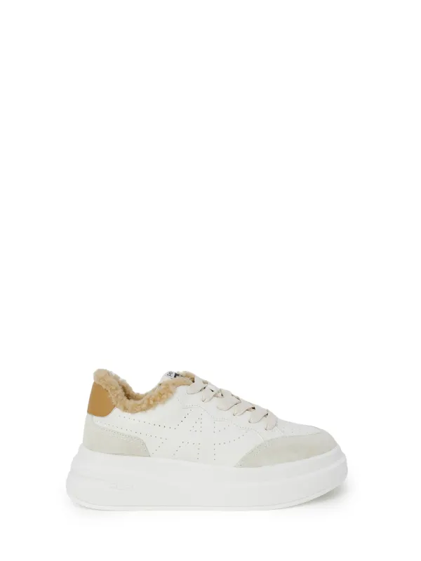 "Ash Sneakers im Sale | Ash - Ash  Sneakers Donna online kaufen"|Planet-Deluxe