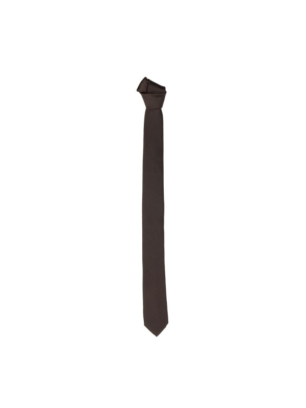 Ties & Bowties Elegant Slim Brown Silk Tie 30,00 €  | Planet-Deluxe