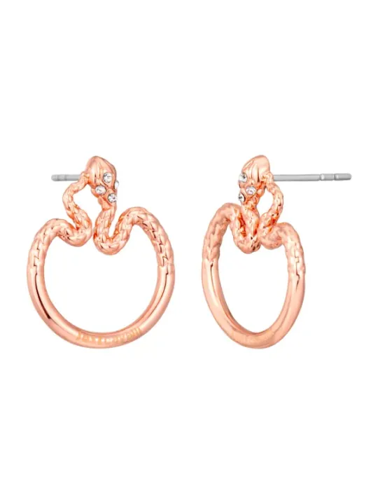 "Just Cavalli Ohrringe im Sale | Just Cavalli Damen Creolen Gelb mit Strass und Schmetterlingsverschluss online kaufen"|Planet-Deluxe