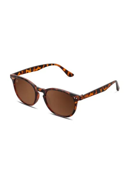 "Twig Sonnenbrillen im Sale | Twig Bogart_BOG03 Braun online kaufen"|Planet-Deluxe