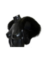 Scarves Elegant Black Silver Fox Fur Scarf 15.120,00 € 8058696337636 | Planet-Deluxe