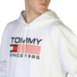 Tommy Hilfiger-DM0DM15009_YBR