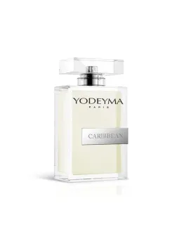 Yodeyma Caribbean Parfüm Glasflasche Silber