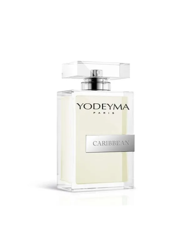 Yodeyma Caribbean Parfüm Glasflasche Silber Yodeyma Caribbean Parfüm Glasflasche Silber