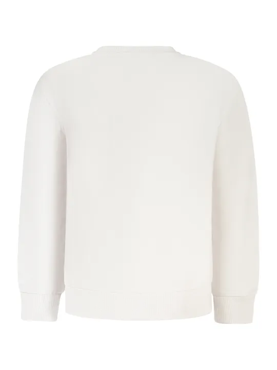 "North Sails Sweatshirts im Sale | North Sails Langarm-Sweatshirt mit Logo und Applikation, Ocean Positive Kollektion für Kinder online kaufen"|Planet-Deluxe