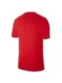 "Nike T-Shirts im Sale | Nike Herren T-Shirt Rot mit Print – Kurzarm & Rundhals für Frühling/Sommer online kaufen"|Planet-Deluxe